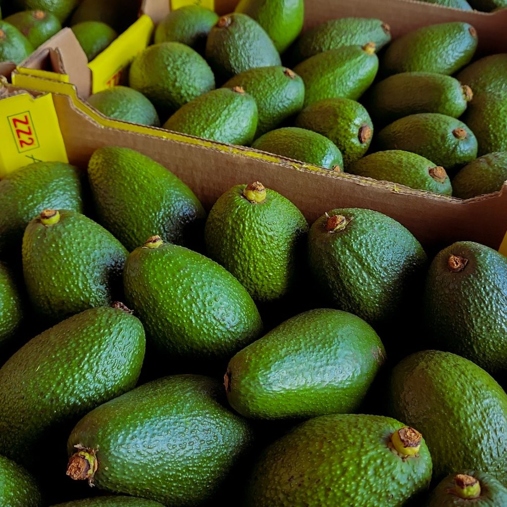 Vibrant green avocados neatly stacked in cardboard boxes at a market stall.